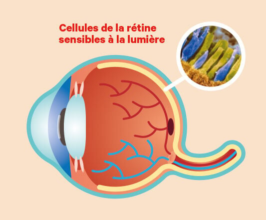 Qu’est-ce que le daltonisme ?